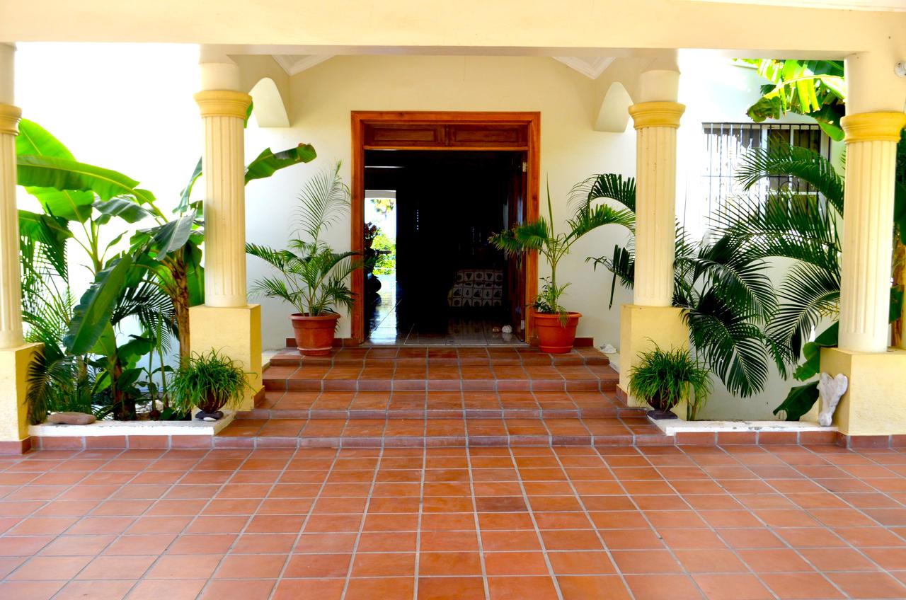 Vstup do hotelu s palmami — Hotel La Saladilla Beach Club